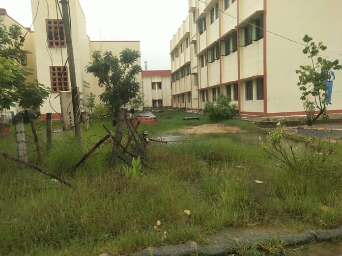 WhatsApp Image 2025-10-27 at 2.02.09 PM (1)