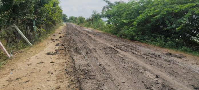 WhatsApp Image 2025-10-28 at 1.28.15 PM