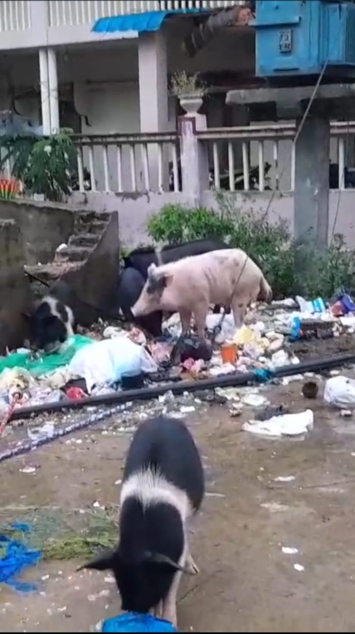 WhatsApp Image 2025-10-28 at 12.11.54 PM