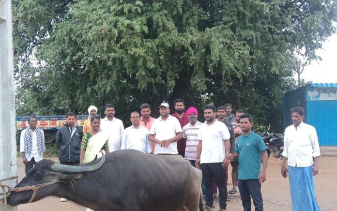 WhatsApp Image 2025-10-29 at 12.28.21 PM