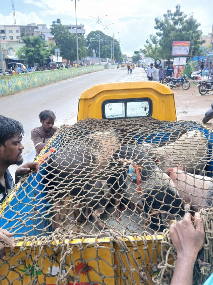 WhatsApp Image 2025-10-29 at 6.18.25 PM