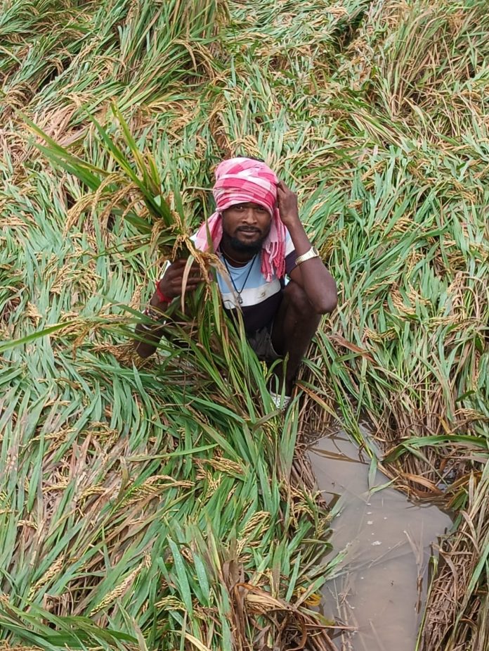 WhatsApp Image 2025-10-29 at 6.18.28 PM (3)