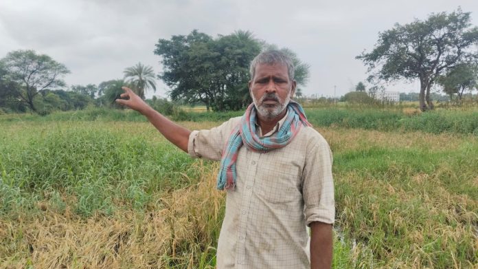 WhatsApp Image 2025-10-30 at 2.18.02 PM (1)