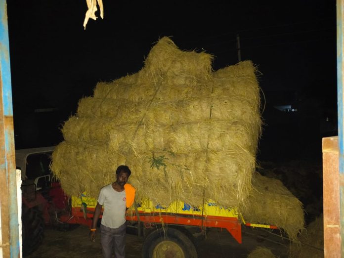 WhatsApp Image 2025-10-30 at 2.35.41 PM (1)