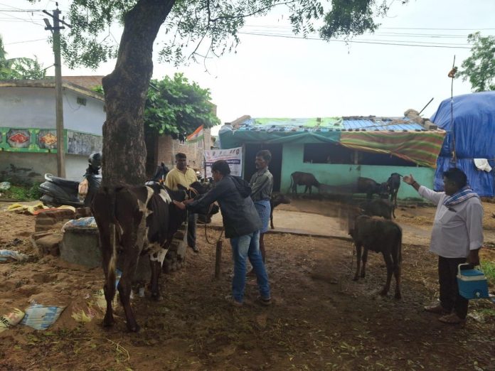 WhatsApp Image 2025-10-30 at 4.54.07 PM