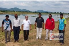 సద్దుల బతుకమ్మకు ప్రత్యేక ఏర్పాట్లు