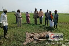 పిట్టలు పట్టడానికి వెళ్లి ప్రమాదవశత్తు చెరువులో పడి వ్యక్తి మృతి..